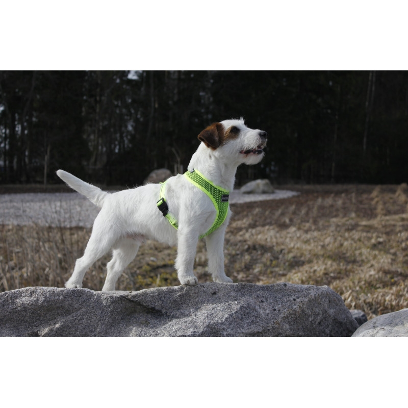 Rukka Comfort Air petnešos, 34-52cm, žalios -  4