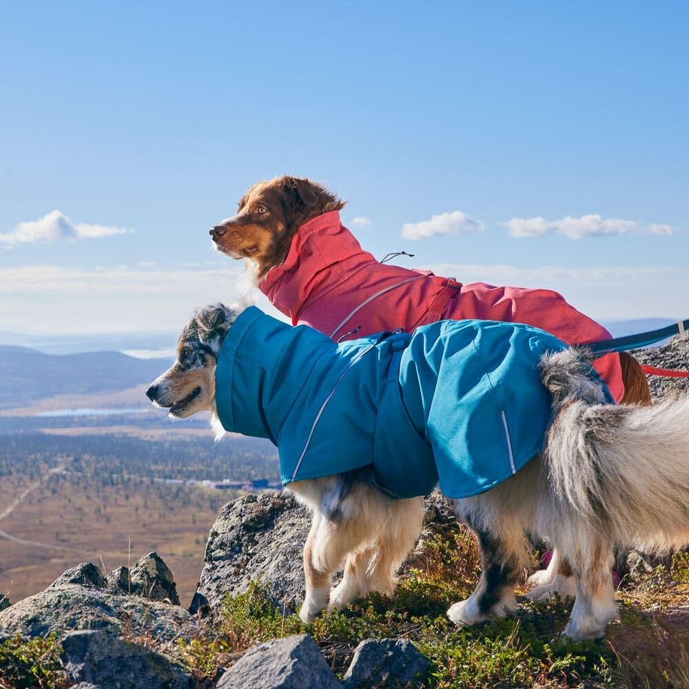Hurtta Expedition Parka II striukė, M-35cm, pilka -  3