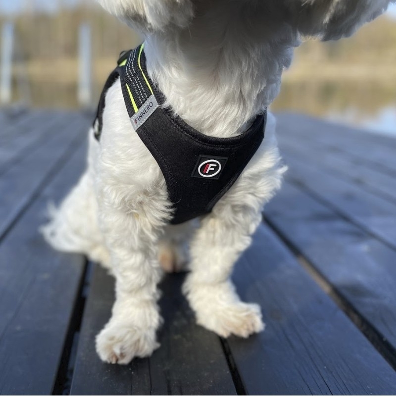 Finnero Hali petnešos, M dydis, juodos-geltonos -  7