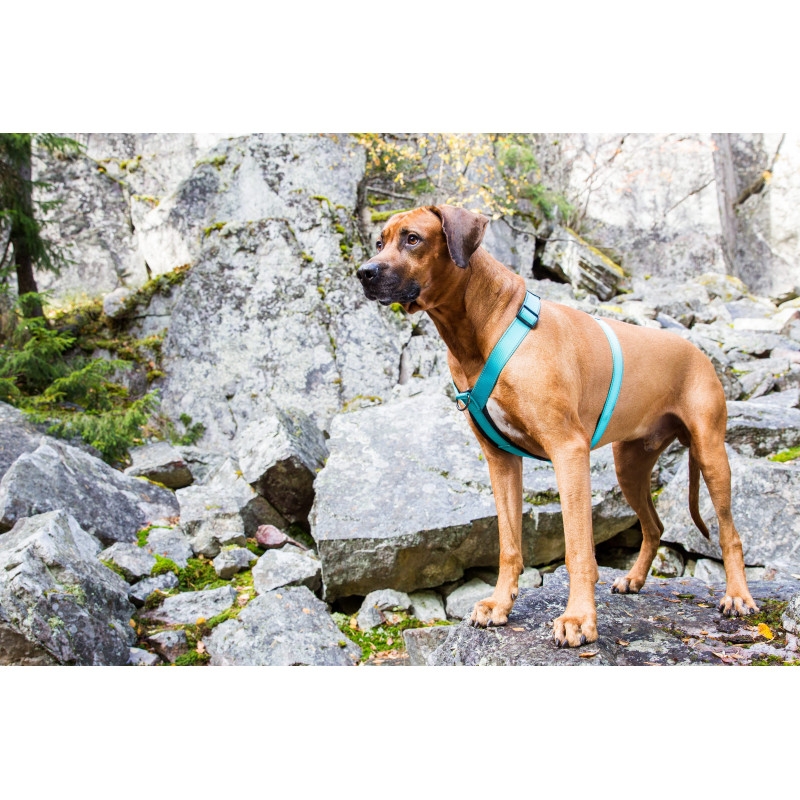 Rukka Form Polar petnešos, 45-70cm, žydros -  4