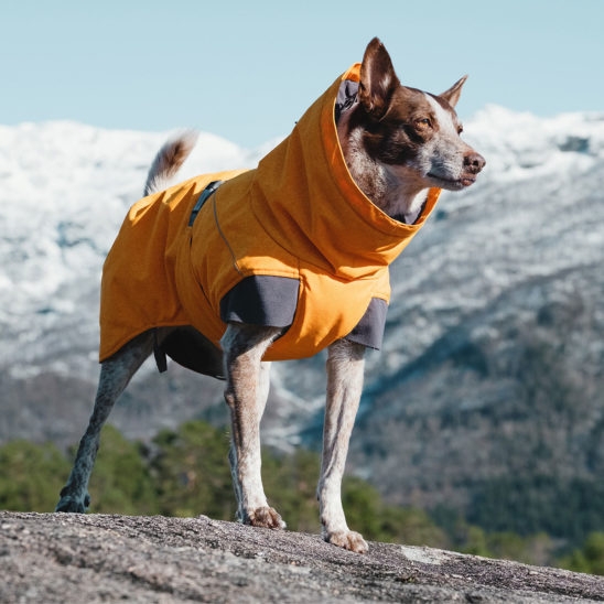 Hurtta Expedition Parka striukė, 50 cm, oranžinė -  3