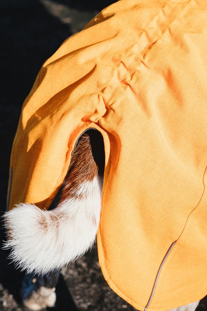 Hurtta Expedition Parka striukė, 50 cm, oranžinė -  5