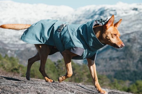 Hurtta Expedition Parka striukė, 30cm, mėlyna -  5