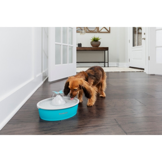 PetSafe DrinkWell Butterfly automatinė girdymo sistema-fontanas, 1,5 l -  6