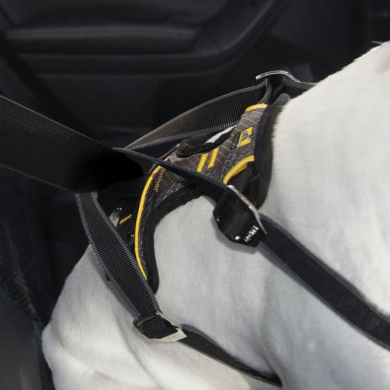 Kurgo Impact automobilio saugos petnešos šunims, 34-47kg -  2