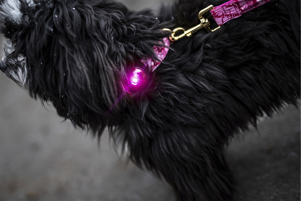 Orbiloc Dog Dual šviečiantis pakabukas, rožinis -  3
