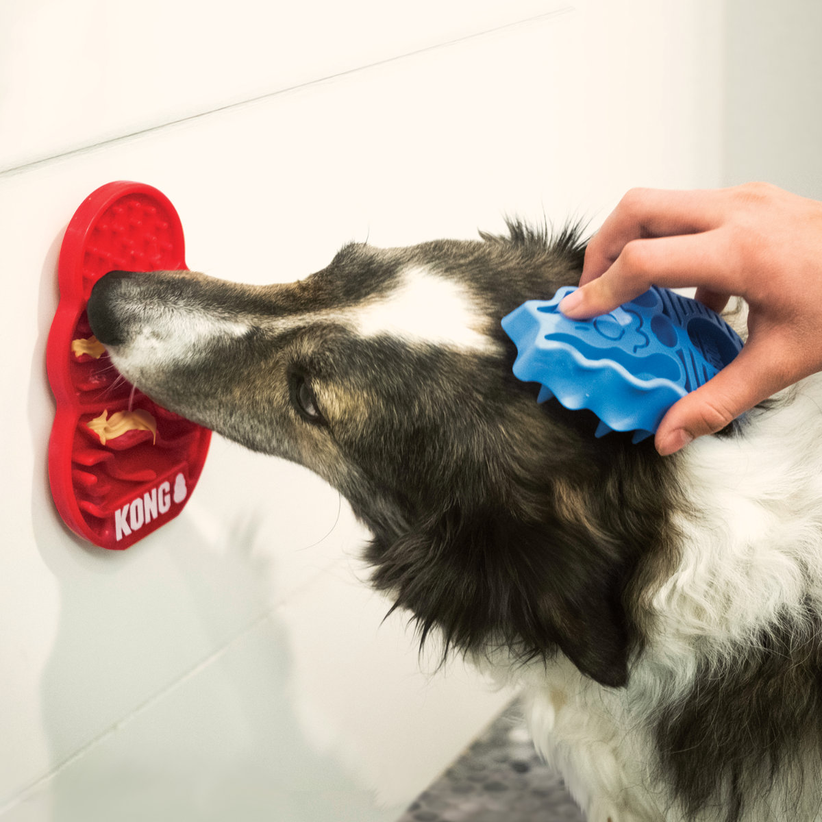 KONG Licks laižymo kilimėlis, L dydžio -  2