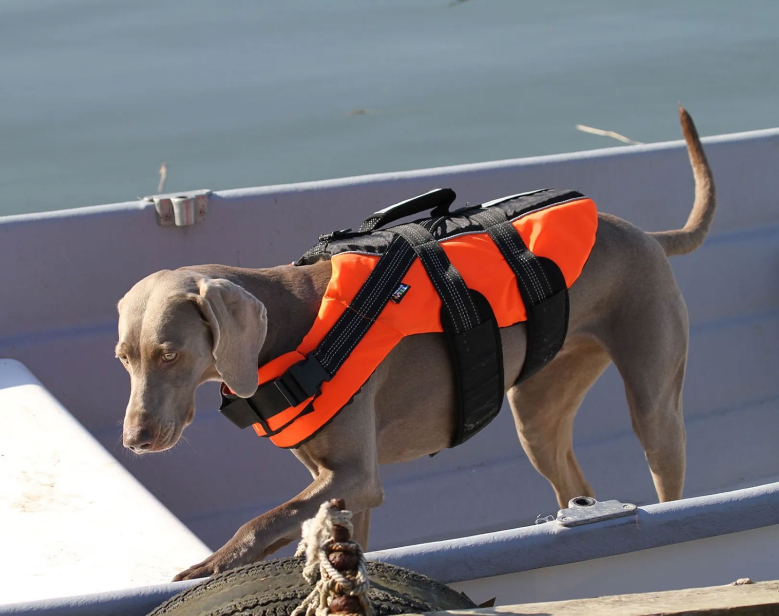 Rukka Safety Life gelbėjimosi liemenė, XL dydis, 50 cm, oranžinė -  6