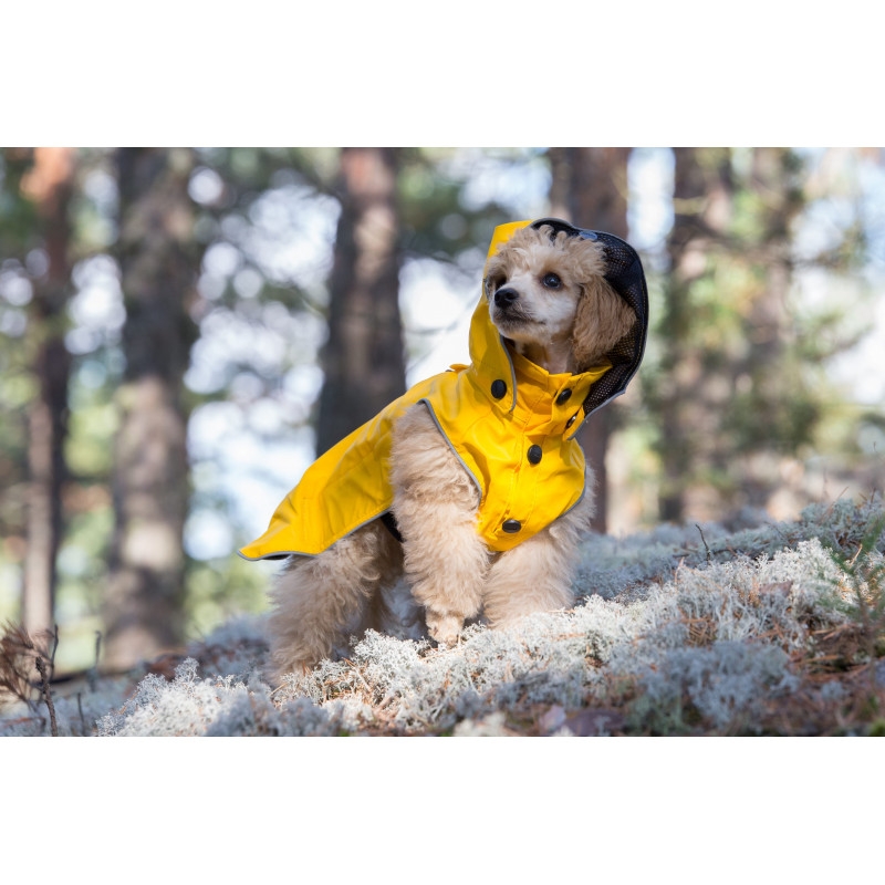 Rukka Raincoat Stream lietpaltis, 55 cm, geltonas -  5