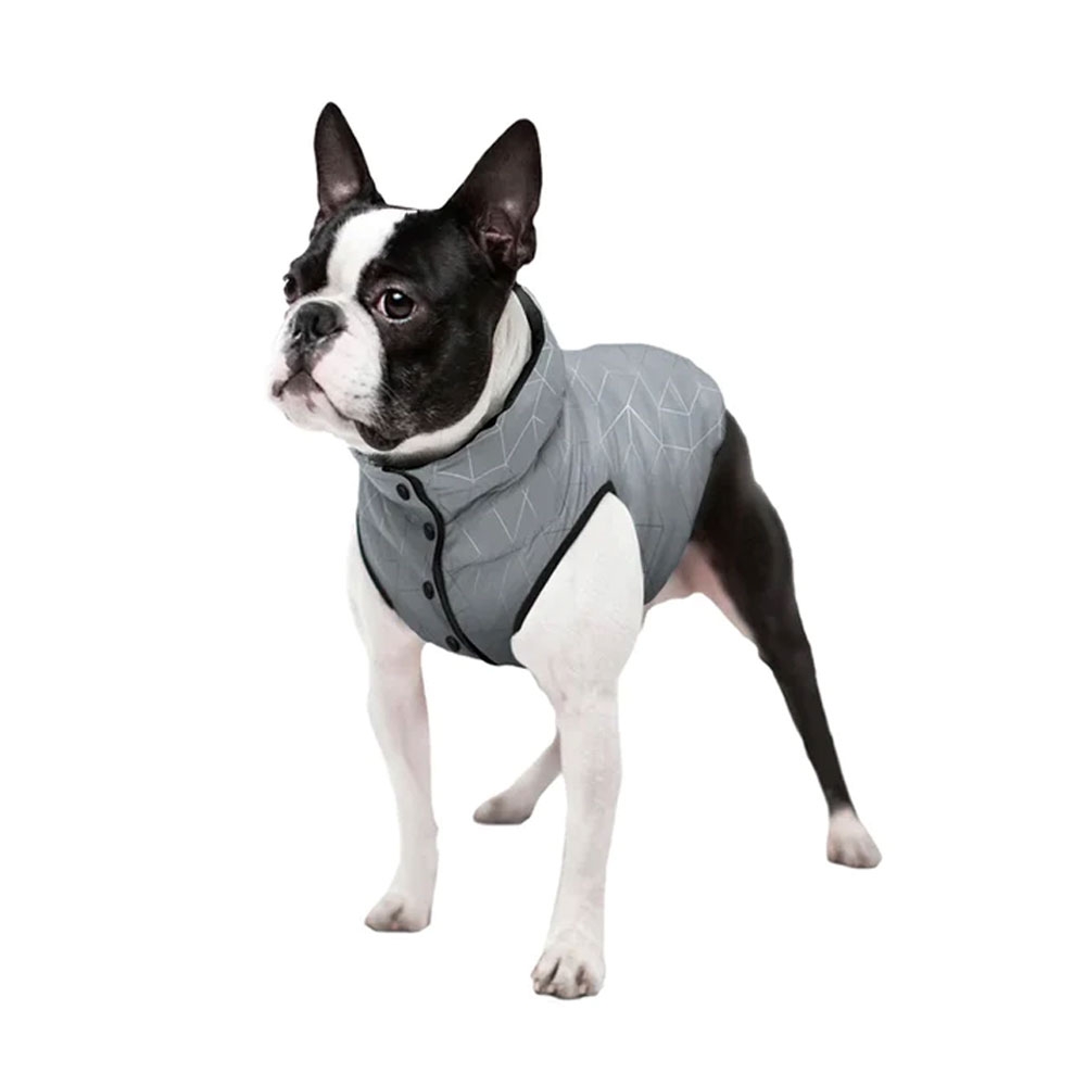 Collar Waudog striukė šunims, XS (22 cm), pilka -  3