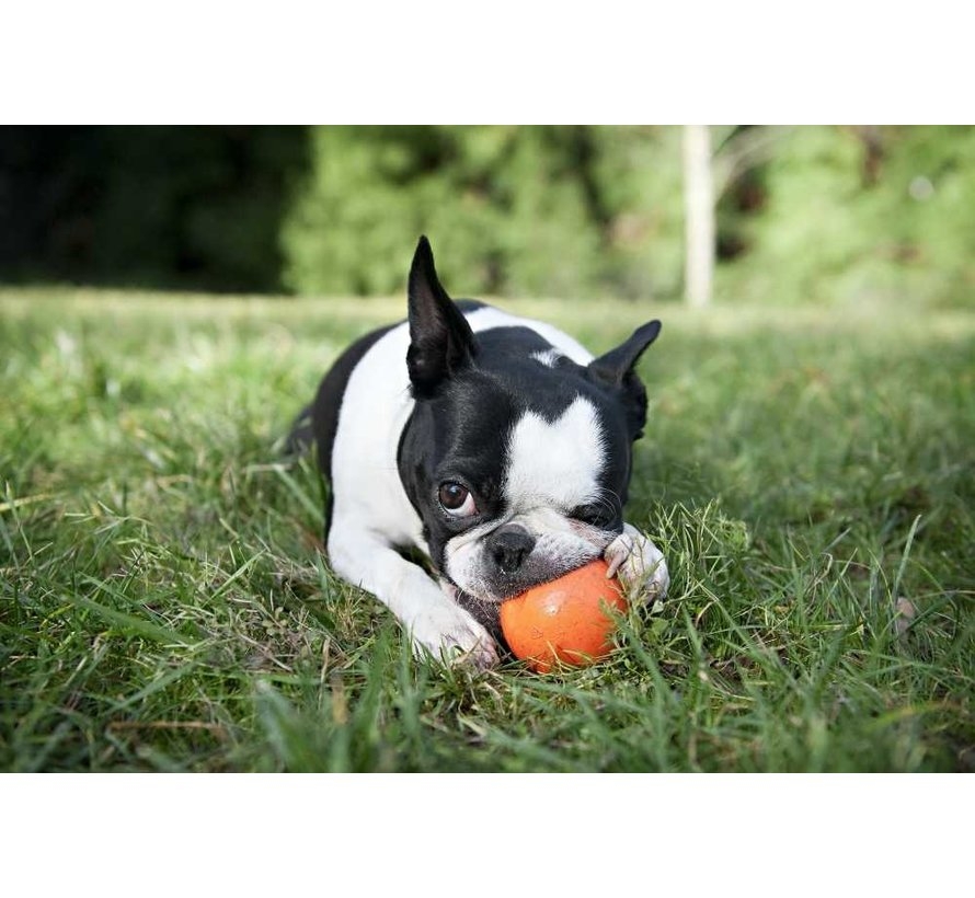 West Paw Jive guminis žaislas, 5 cm, oranžinis -  3