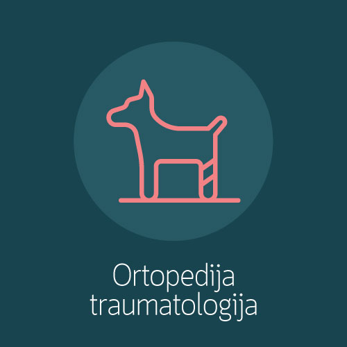 Ortopedija-traumatologija