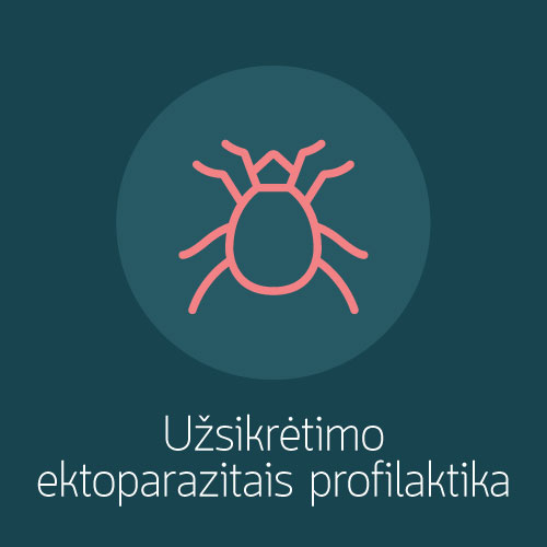 Užsikrėtimo ektoparazitais profilaktika