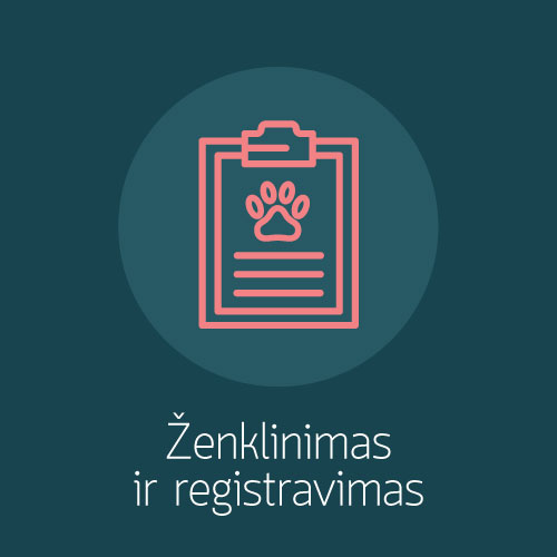 Ženklinimas ir registravimas