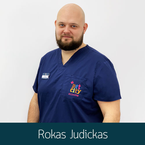 Rokas Judickas