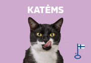 Katėms