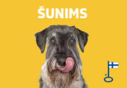 Šunims