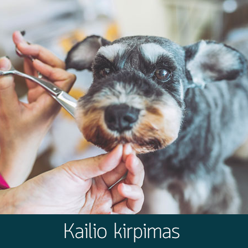 Kailio kirpimas