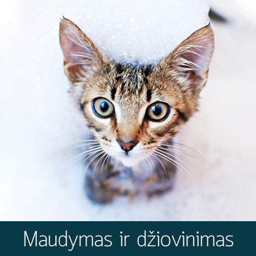 Maudymas ir džiovinimas