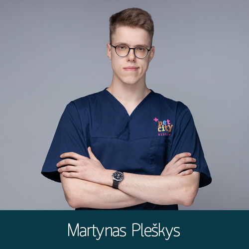 Martynas Pleškys